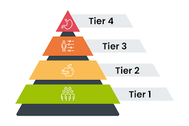 Weight Management Support showing 4 tiers